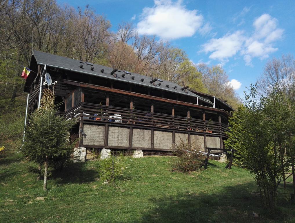 Cabana La Noi Hotel Rîşnov Luaran gambar