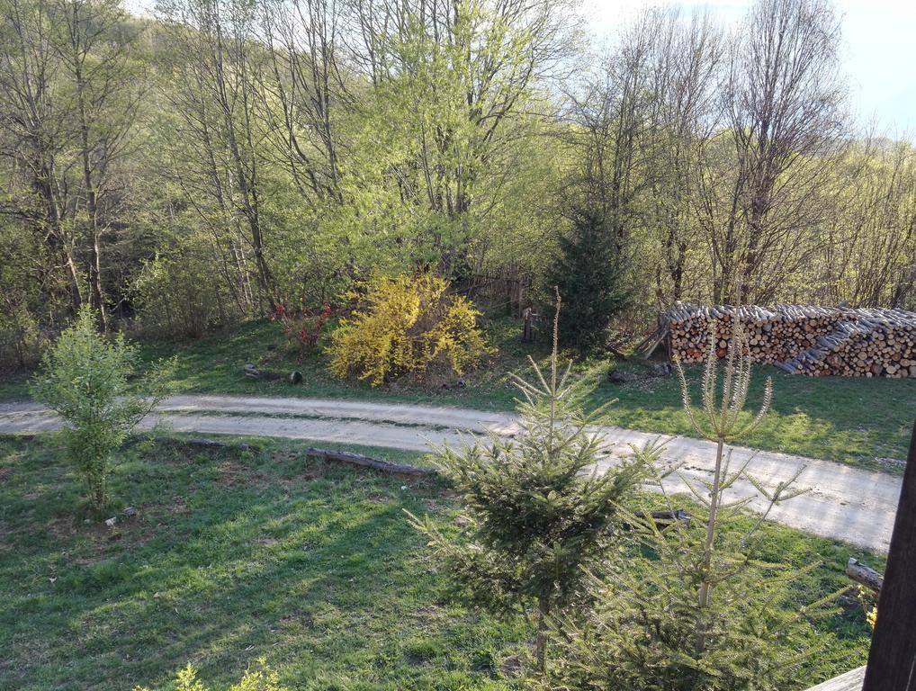 Cabana La Noi Hotel Rîşnov Luaran gambar