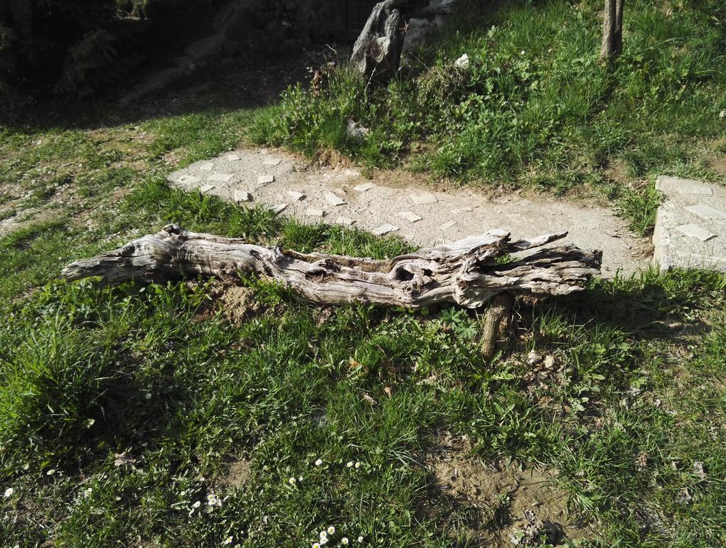 Cabana La Noi Hotel Rîşnov Luaran gambar
