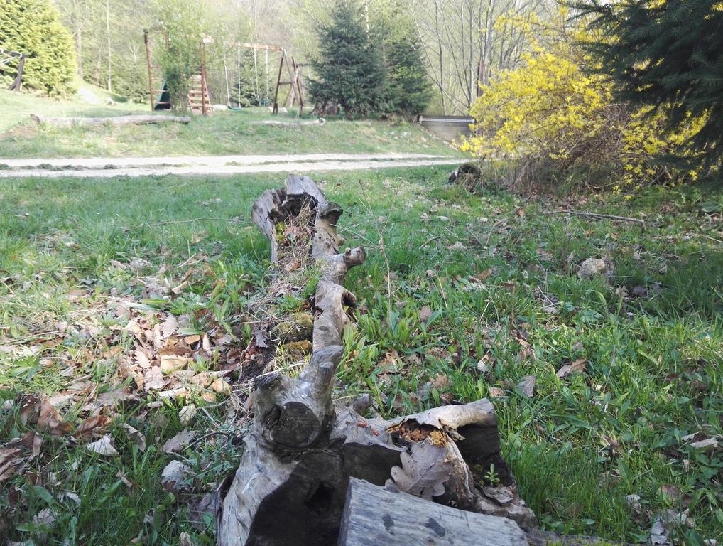 Cabana La Noi Hotel Rîşnov Luaran gambar
