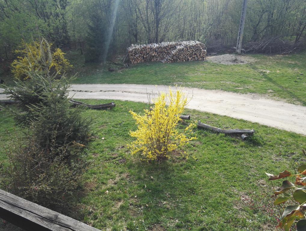 Cabana La Noi Hotel Rîşnov Luaran gambar