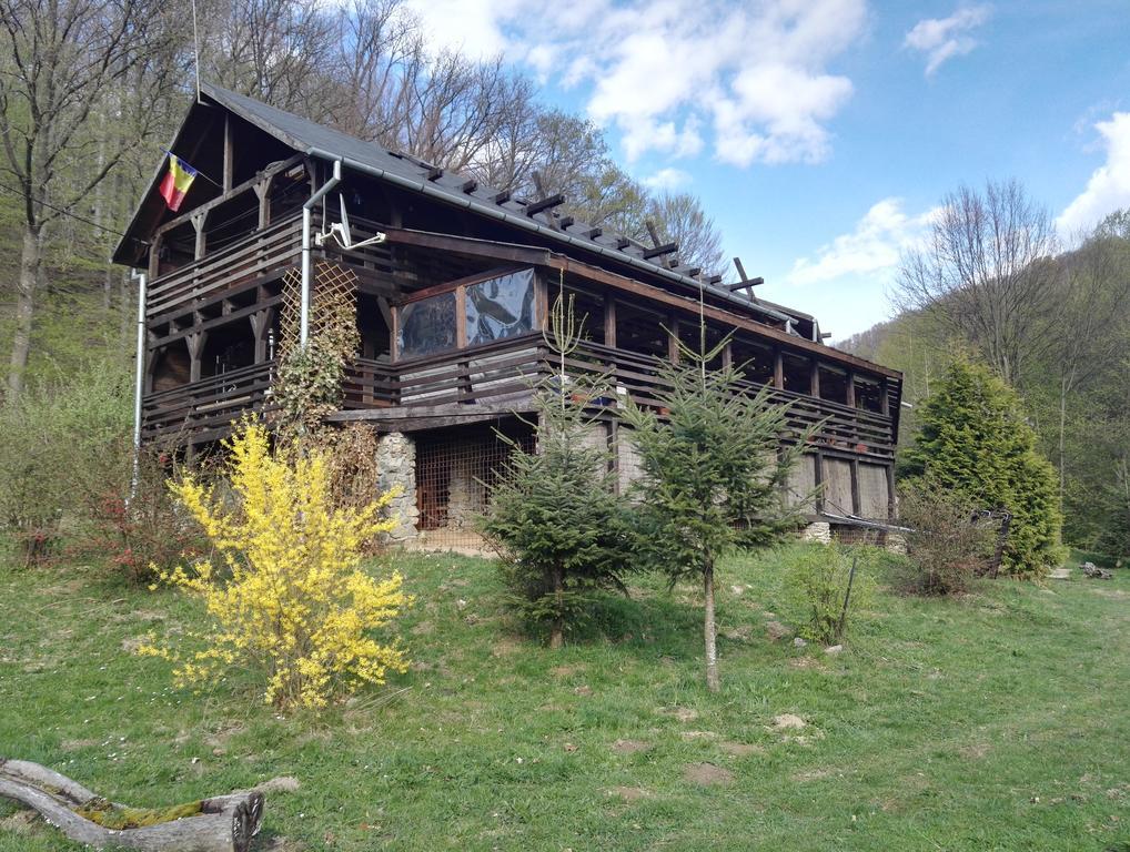 Cabana La Noi Hotel Rîşnov Luaran gambar